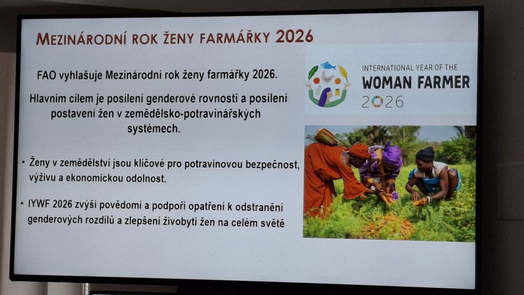 Obraz z projekčního plátna s informacemi EVVO